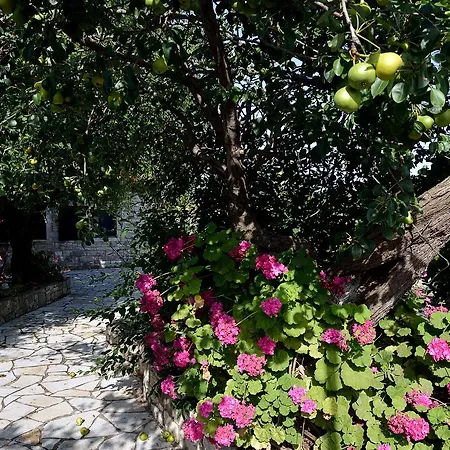 Villa Phoenica *